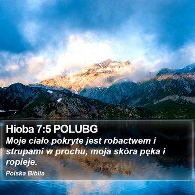 Hioba 7:5 POLUBG Bible Verse Image