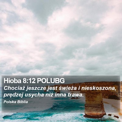 Hioba 8:12 POLUBG Bible Verse Image