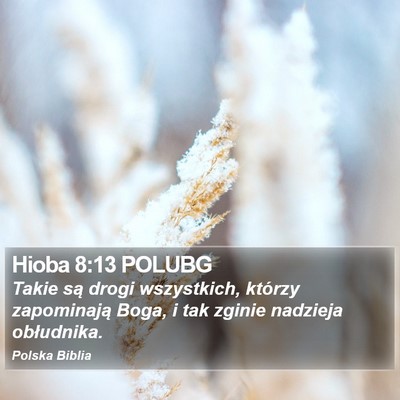 Hioba 8:13 POLUBG Bible Verse Image