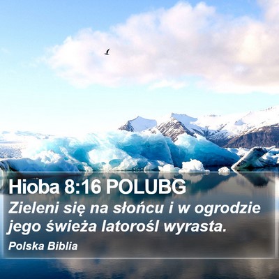 Hioba 8:16 POLUBG Bible Verse Image
