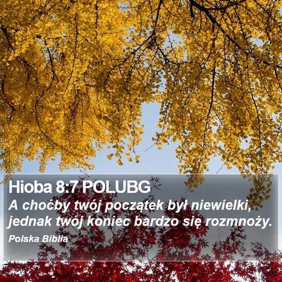 Hioba 8:7 POLUBG Bible Verse Image