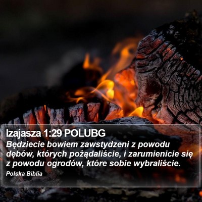 Izajasza 1:29 POLUBG Bible Verse Image