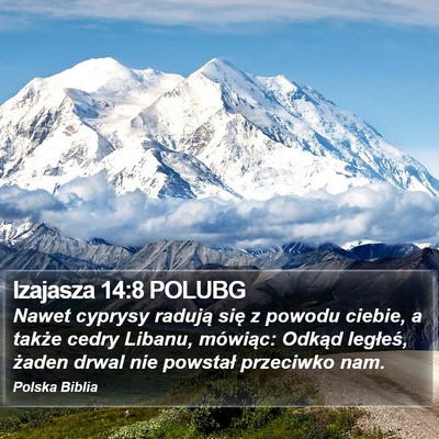 Izajasza 14:8 POLUBG Bible Verse Image