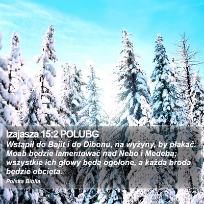 Izajasza 15:2 POLUBG Bible Verse Image