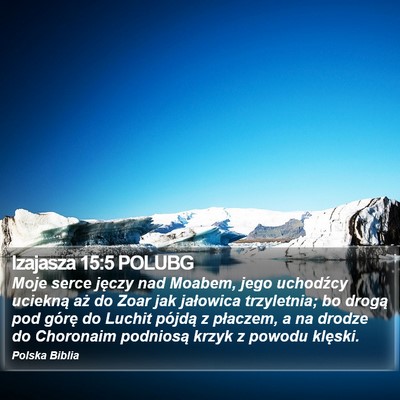 Izajasza 15:5 POLUBG Bible Verse Image