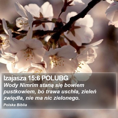 Izajasza 15:6 POLUBG Bible Verse Image