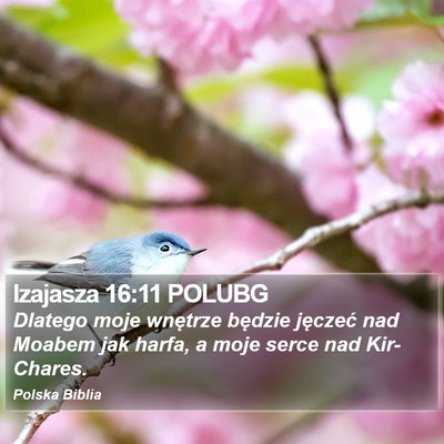 Izajasza 16:11 POLUBG Bible Verse Image
