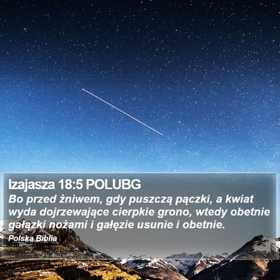 Izajasza 18:5 POLUBG Bible Verse Image