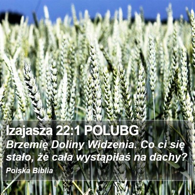 Izajasza 22:1 POLUBG Bible Verse Image