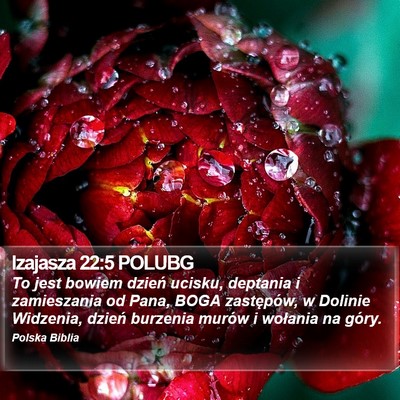 Izajasza 22:5 POLUBG Bible Verse Image