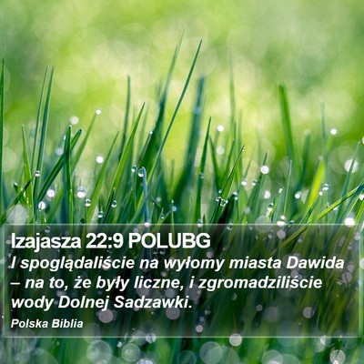Izajasza 22:9 POLUBG Bible Verse Image