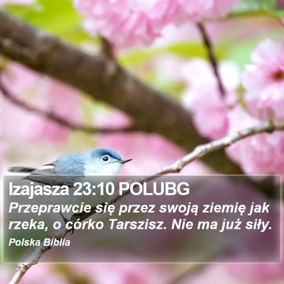 Izajasza 23:10 POLUBG Bible Verse Image