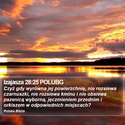 Izajasza 28:25 POLUBG Bible Verse Image