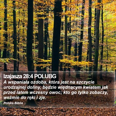 Izajasza 28:4 POLUBG Bible Verse Image