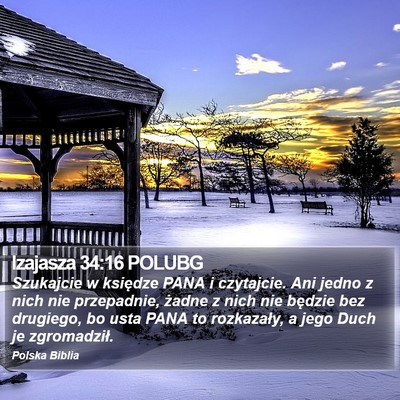 Izajasza 34:16 POLUBG Bible Verse Image