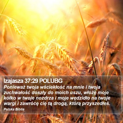 Izajasza 37:29 POLUBG Bible Verse Image