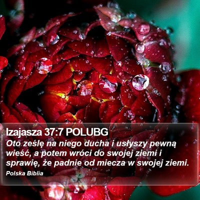 Izajasza 37:7 POLUBG Bible Verse Image