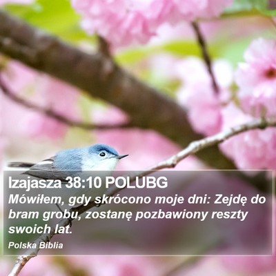 Izajasza 38:10 POLUBG Bible Verse Image