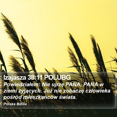 Izajasza 38:11 POLUBG Bible Verse Image