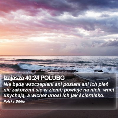 Izajasza 40:24 POLUBG Bible Verse Image