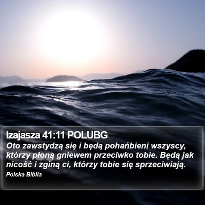 Izajasza 41:11 POLUBG Bible Verse Image