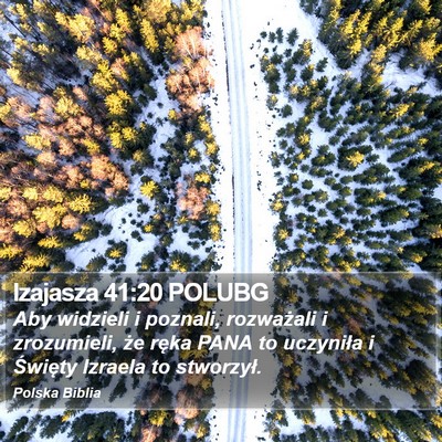Izajasza 41:20 POLUBG Bible Verse Image