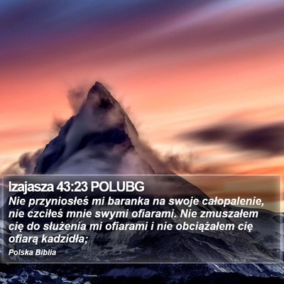 Izajasza 43:23 POLUBG Bible Verse Image