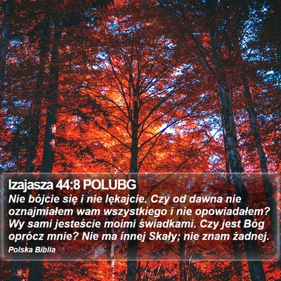 Izajasza 44:8 POLUBG Bible Verse Image