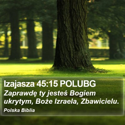Izajasza 45:15 POLUBG Bible Verse Image