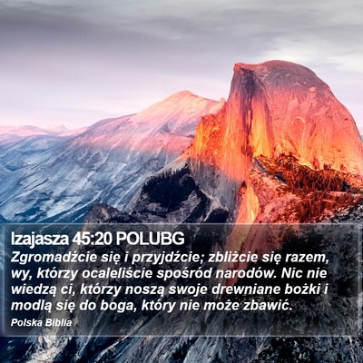 Izajasza 45:20 POLUBG Bible Verse Image