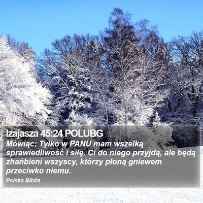 Izajasza 45:24 POLUBG Bible Verse Image