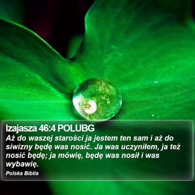 Izajasza 46:4 POLUBG Bible Verse Image