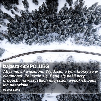 Izajasza 49:9 POLUBG Bible Verse Image