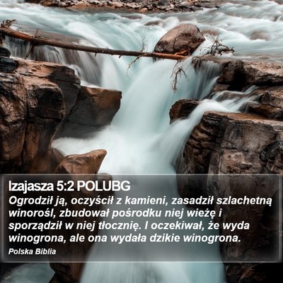 Izajasza 5:2 POLUBG Bible Verse Image