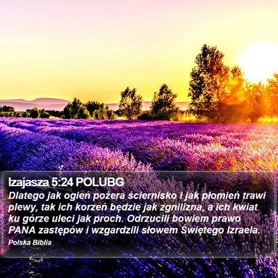 Izajasza 5:24 POLUBG Bible Verse Image