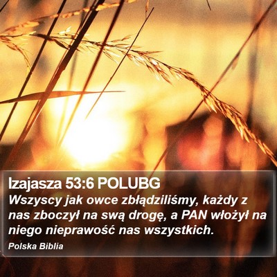 Izajasza 53:6 POLUBG Bible Verse Image