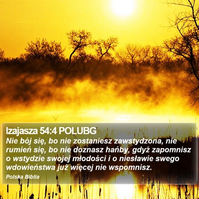 Izajasza 54:4 POLUBG Bible Verse Image