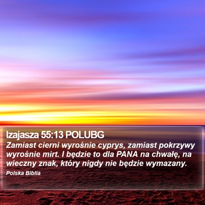 Izajasza 55:13 POLUBG Bible Verse Image