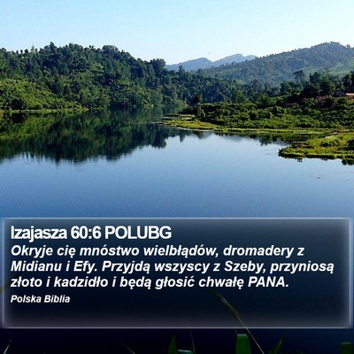 Izajasza 60:6 POLUBG Bible Verse Image