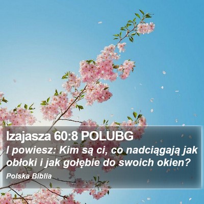 Izajasza 60:8 POLUBG Bible Verse Image