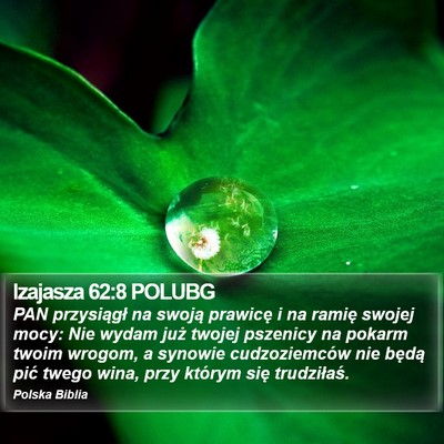 Izajasza 62:8 POLUBG Bible Verse Image