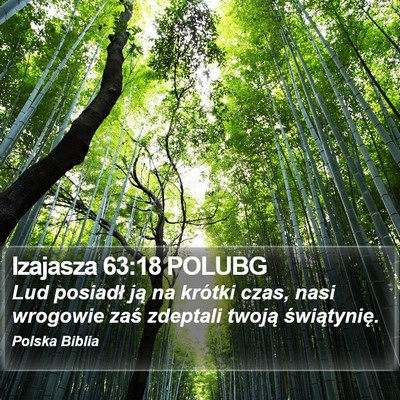 Izajasza 63:18 POLUBG Bible Verse Image
