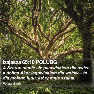 Izajasza 65:10 POLUBG Bible Verse Image