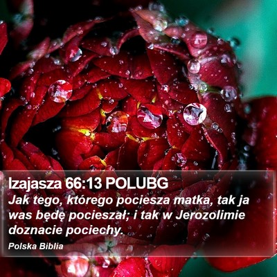 Izajasza 66:13 POLUBG Bible Verse Image