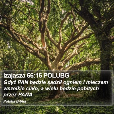Izajasza 66:16 POLUBG Bible Verse Image