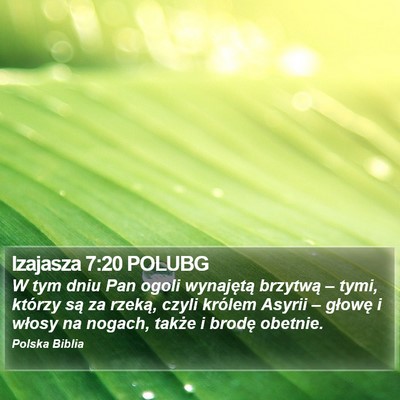 Izajasza 7:20 POLUBG Bible Verse Image