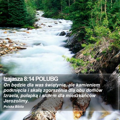 Izajasza 8:14 POLUBG Bible Verse Image