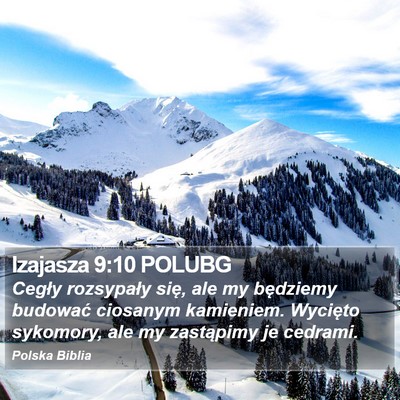 Izajasza 9:10 POLUBG Bible Verse Image