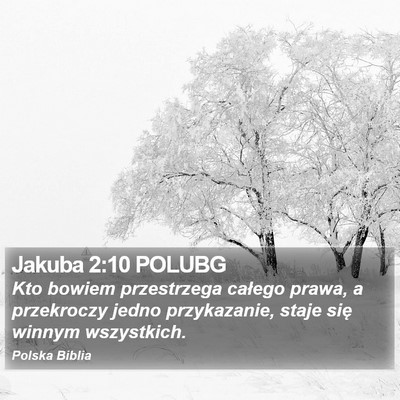Jakuba 2:10 POLUBG Bible Verse Image