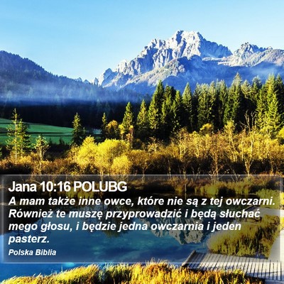 Jana 10:16 POLUBG Bible Verse Image